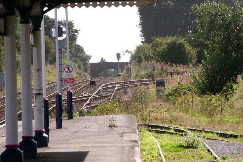 The branch bays