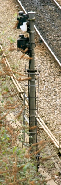 Elevated double disc